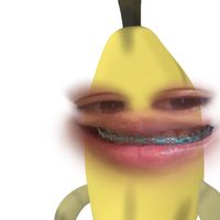 nntxnk