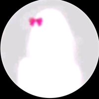 mdsakhawat888