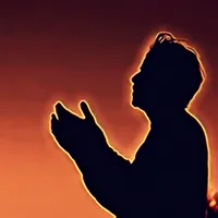 القارئ أنس المالك