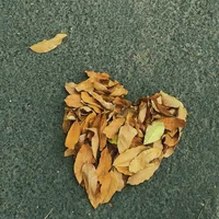 original sound - nd1.y