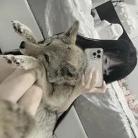 qi_qi_77