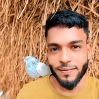 original sound - mdemran0.0