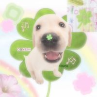 b3llomydearkawaiieiei0