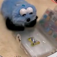 オリジナル楽曲 - ろこまこあこんずだお💚💜💙