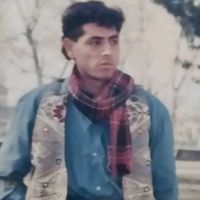tariqmehmood3942