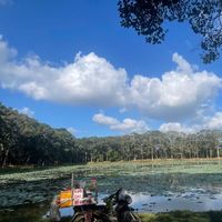 nhạc nền - ❥bαο❜TMkhỜ☻