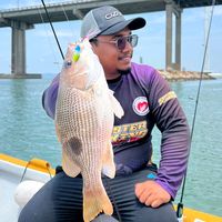 firdausmambang