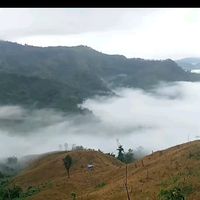เสียงต้นฉบับ - tiktok