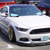 mustangissa105