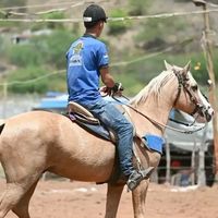 willyamolegariio_