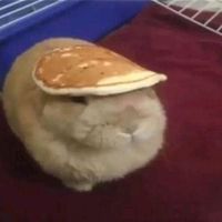 original sound -  ̊ہہ٨ـSilverہ٨ـہ ̊