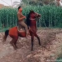 anilchand7624