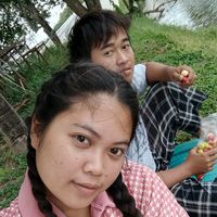lmna_2546