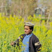 ubaid..ullah..khan