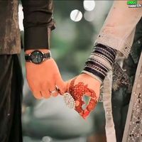 musheatk.bhatti