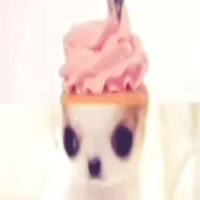 original sound - 🙈