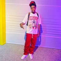 manii_newton