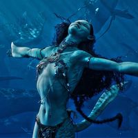 original sound - Angie ♡