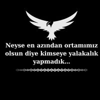 orijinal ses