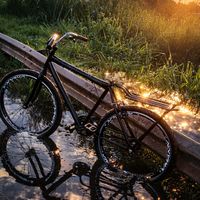 erik_mobilador08