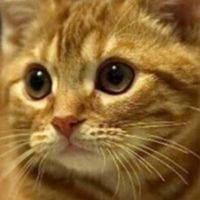 オリジナル楽曲 - トシ378Toshi