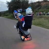 reinaldofox7