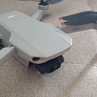 tingvoon429