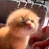 Phi Điểu và Ve Sầu