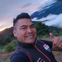 noticiascomitanendirecto