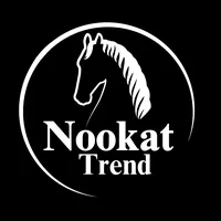 original sound - nookat__trend