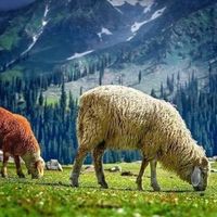 pakistan_____beauty