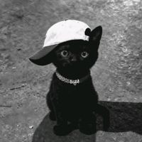 original sound - Zeej