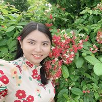 nhạc nền - Minidragon