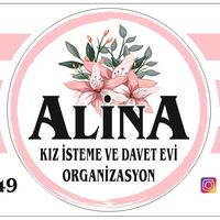 alinadaveteviorganizasyn