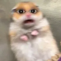 original sound - lunaya_673