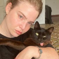 zimesthecat