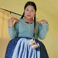 jhoselinhonorio