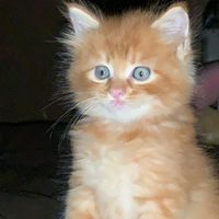 hi.boluuu