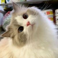 suara asli - Alyaa🐣