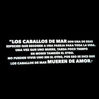 sonido original