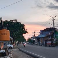 suara asli - 🇮🇩.Roy La Haliya 😁🐊