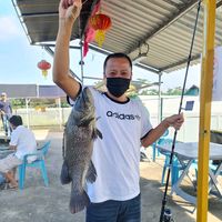 original sound - Lvin Leoh