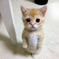 lovziy0