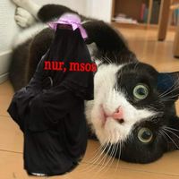 nurhayati.msos