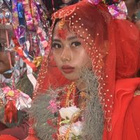 swas_tima459