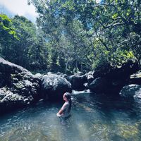 htmwp_vybz