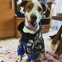 original sound - aresdooog