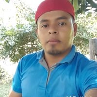 m11elsolitario