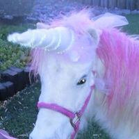 original sound - lydia