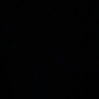 elplumas_ag
